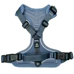 Ollipet for wagging tails | Airflex - Med håndtag på ryggen