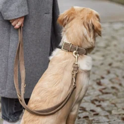 Trixie Pure hundehalsbånd  flot brun farve - Leveres uden hundesnor