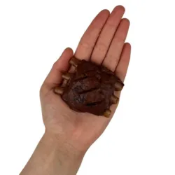 BBQ Ribs with Chicken hundesnack 7 cm vist i hånd