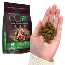 Wellness CORE Adult Lamb tørfoder med foderpiller i hånd
