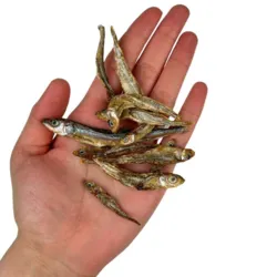 Tørrede småfisk hundesnack fra Ozami vist i hånd