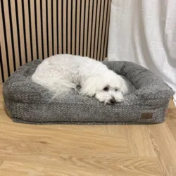 Ollipet Skagen memoryskum hundekurv