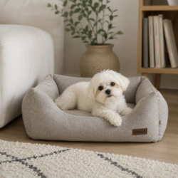 saga hundeseng med memory foam bund i brug af sød lille hvid hund