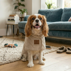 Hund i komfortabel wellness tørrekåbe fra Ollipet indendørs