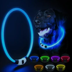 Ollipet LED NeonRing | Sikkerhedshalsbånd OneSize