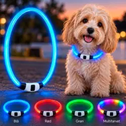 Ollipet LED NeonRing | Sikkerhedshalsbånd OneSize