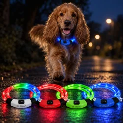 Ollipet LED NeonRing | Sikkerhedshalsbånd OneSize