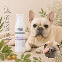 PSH Nose Protector med jojobaolie, der plejer og fugter hundens snude – vist med en fransk bulldog og påføring af produktet