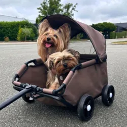 Trækvognen kan også have plads til to små hunde