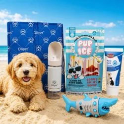 Pakketilbud | Sommerpakke til hunde