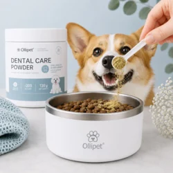 Ollipet Dental Care Powder drysset let hen over maden