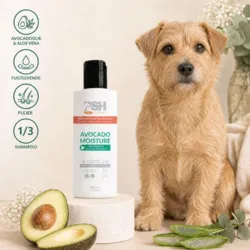 PSH Avocado Moisture shampoo med avocadoolie og aloe vera fugter og plejer hundens pels, så den efterlades blød og velplejet
