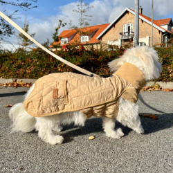 Doglemi Dachsie hundejakke passer også andre racer, her en Coton de Tulear