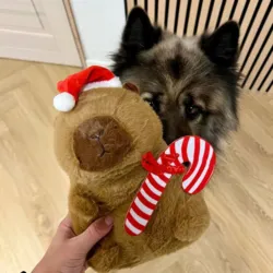 Sød julebamse til hunde i alle størrelser