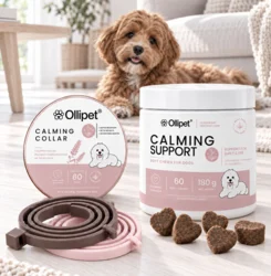 Pakketilbud | Ollipet Calming Collar and Support