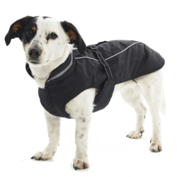 Buster vinterjakke Black Pepper