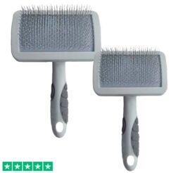 Populær Dogman karte