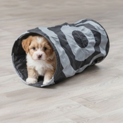 Sjov tunnel til små hvalpe