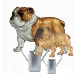 Nummerclips Engelsk Bulldog