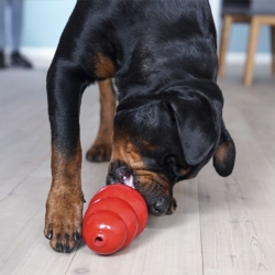 Kong Original str. XXL