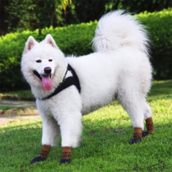 Vandtætte Hundestrømper/støvler