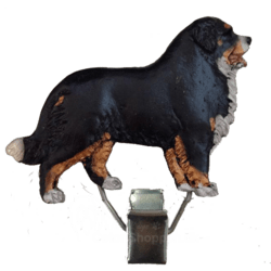 Nummerclips: Berner Sennen