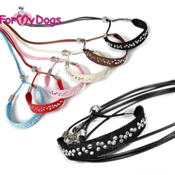 Showline med rhinsten