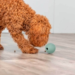 Snack Ball fra Trixie