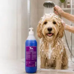 KW LUX Shampoo 1L