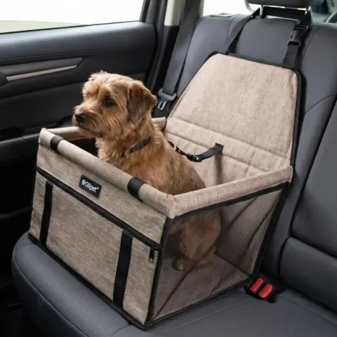 Lille brun hund sidder i et beige autostol til hunde fastgjort på bilens bagsæde.