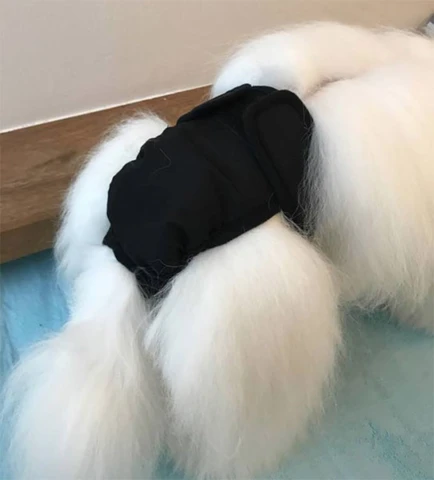 Bløde løbetidsbukser | God pasform