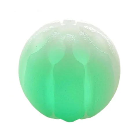 Glow Streak LED hundebold