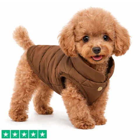 Dynevest til mindre hunde