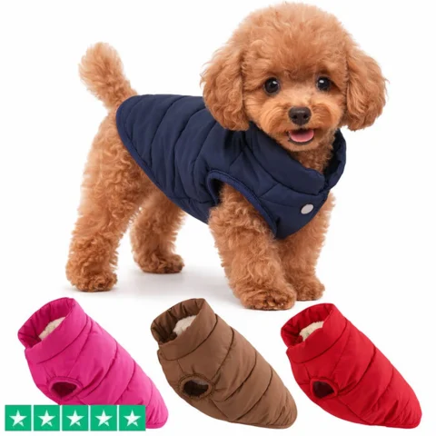 Dynevest til mindre hunde