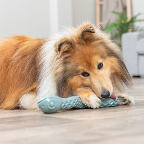 Snack Slange | Godbidgemmer