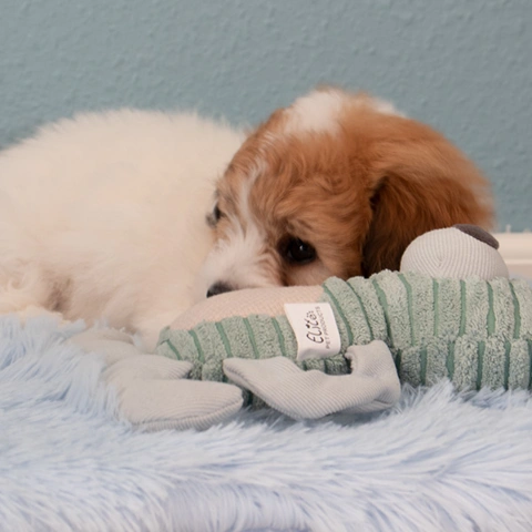 Luksuriøs Fluffy Madras | Lyseblå kanin med bidering