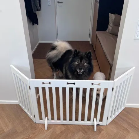 Indendørs hundegitter til adskillelse i hjemmet