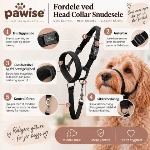 Dog Head Collar | Skema
