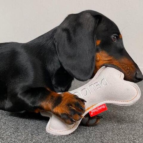 Kødben af læder | Delicious i lys grå