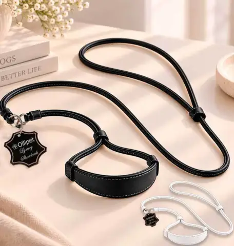 Ollipet Luksus Læder Showline | store hund