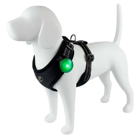 Ollipet justerbar hundesele | Mindre hunde