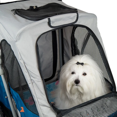 Stroller med Coton de Tulear