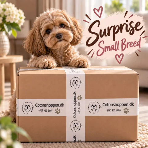 Pakketilbud | Small Breed Surprise Box