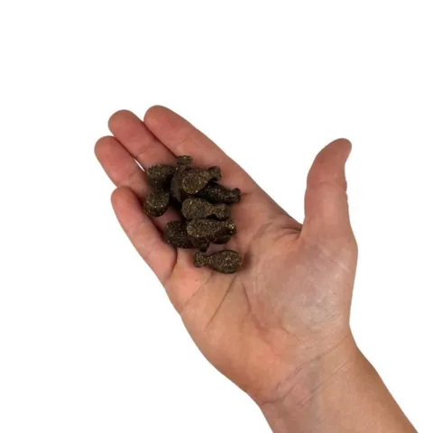 Carnilove Soft Snack Quail with Oregano hundegodbidder i hånd