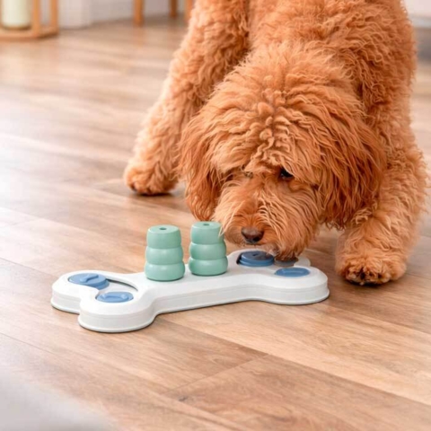 Trixie Dog Activity Flip Bone Level 1 - For begynderhunden