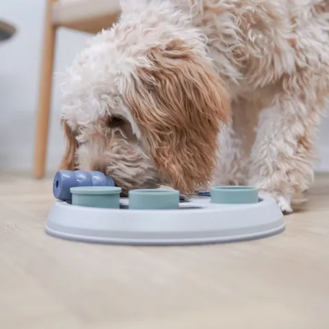 Sjovt og aktiverende legetøj, der stimulerer hunde