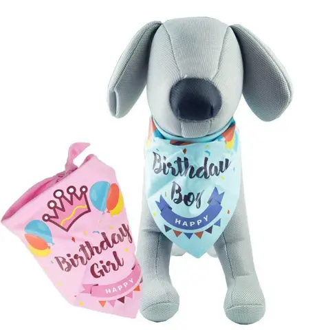 Birthday bandana | Boy/Girl