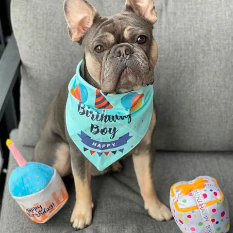 Birthday bandana | Boy