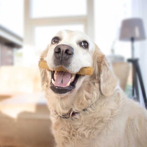 Gør din hund glad med et lækkert tyggeben fra Yaki