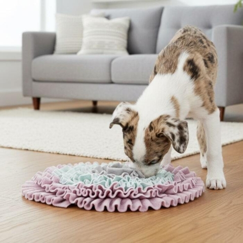 Junior Snusetæppe | Til hvalpe